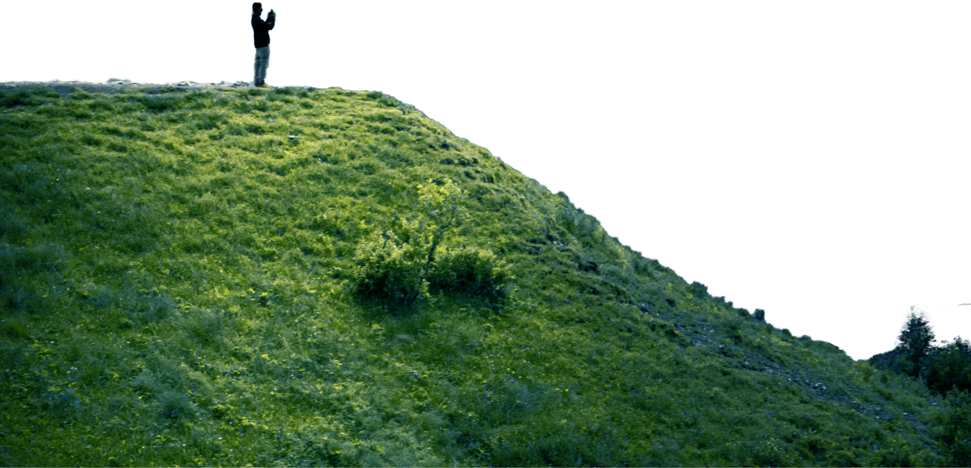 Mountain Foreground
